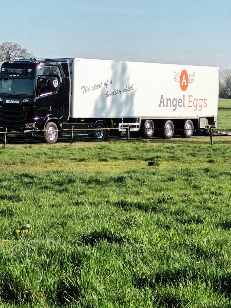 Dubbeldooiers uitverkocht, deze week uitlevering